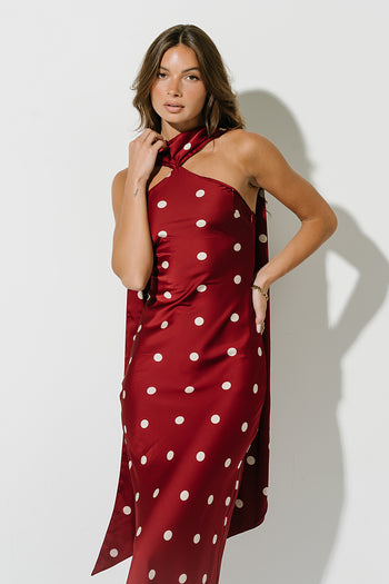 Max Polka Dot Maxi Dress in Wine